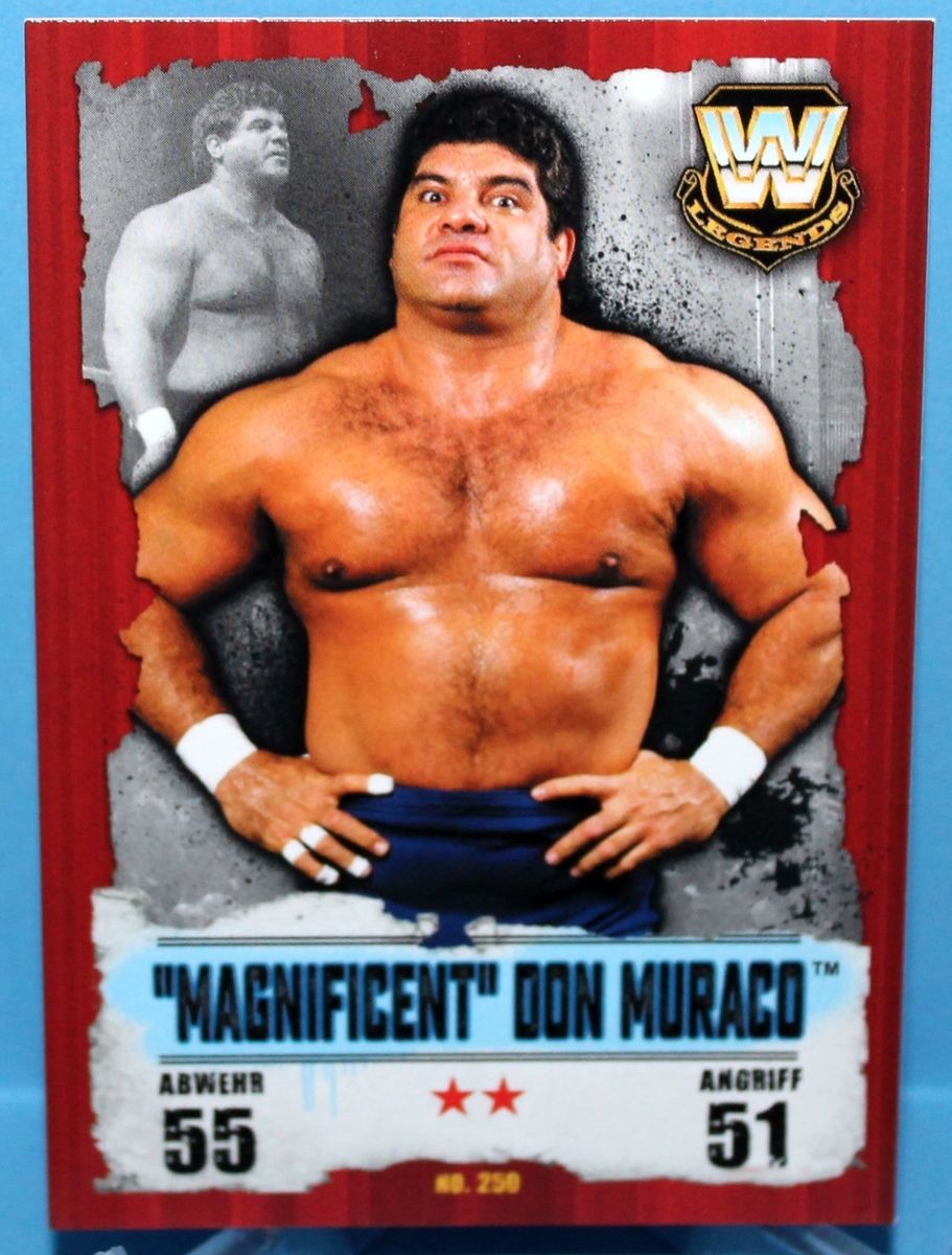 Image result for the magnificent don muraco
