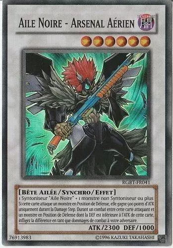 Rage des Guerriers RGBT - Aile Noire - Arsenal Aérien