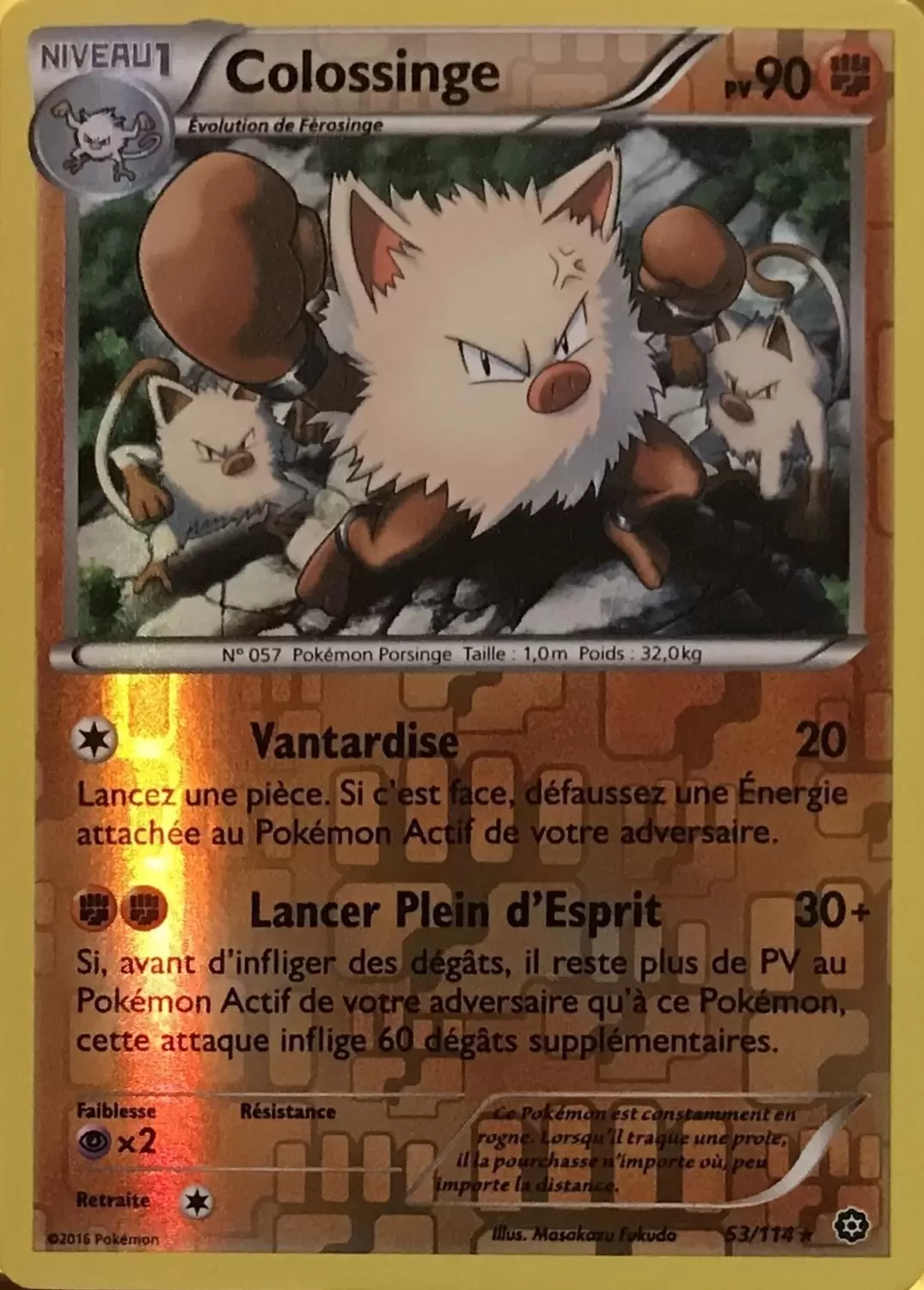 Pokémon XY Offensive Vapeur - Colossinge Reverse
