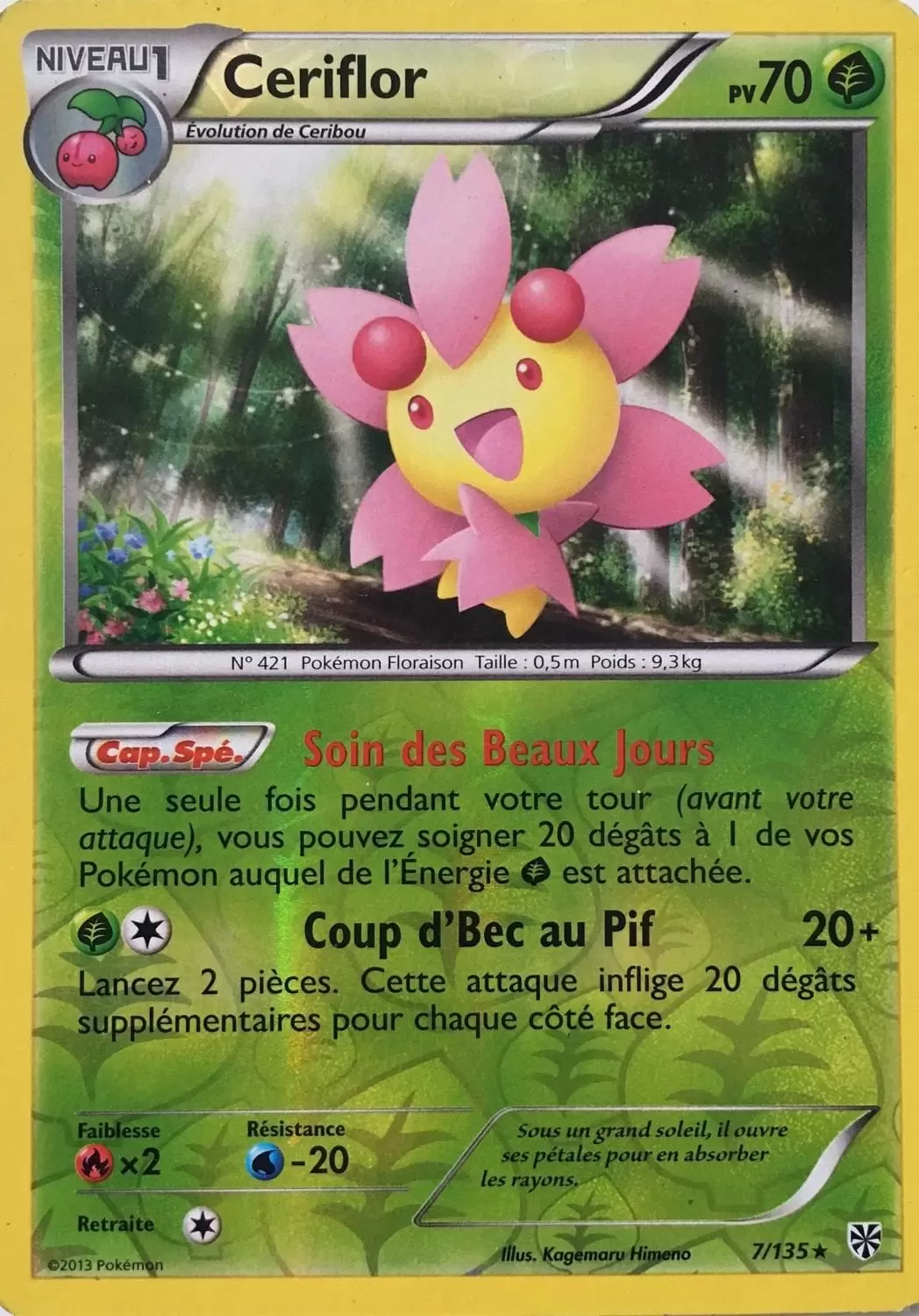 Tempête Plasma - Ceriflor Reverse