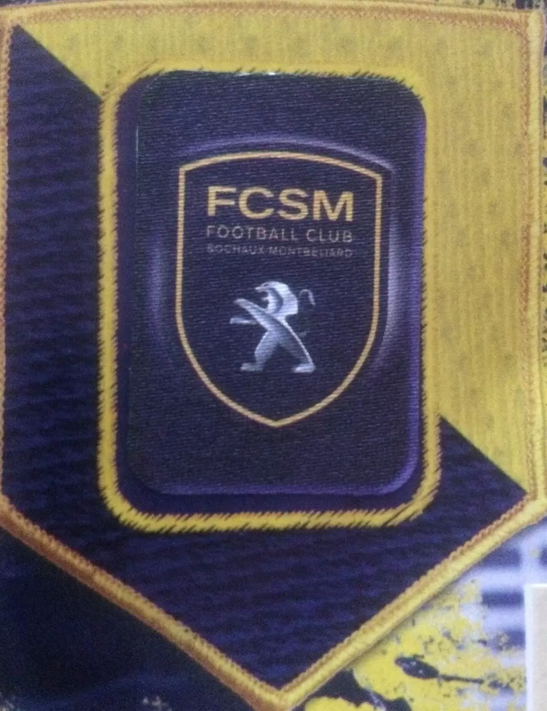 Foot 2014-2015 - Ecusson FCSM