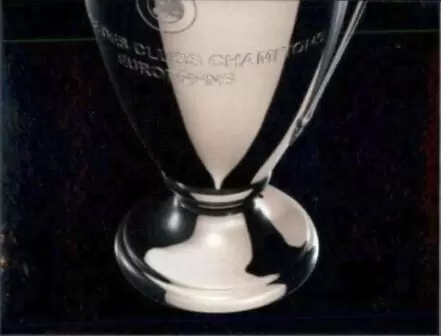 UEFA Champions League 2012/2013 - Trophy - UEFA Champions League Road to Munich 2012