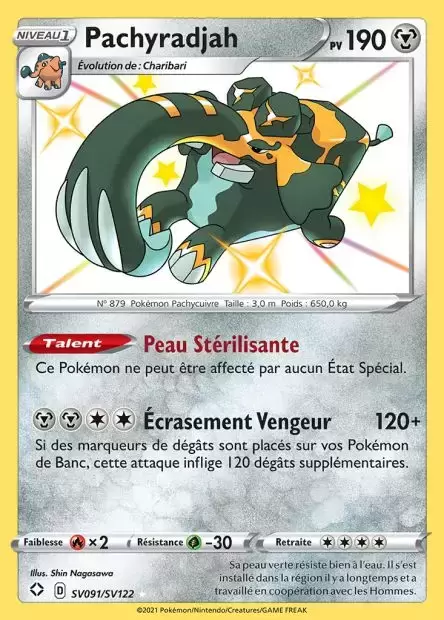 Destinée Radieuse - Pachyradjah