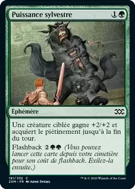 Double Masters - Puissance sylvestre