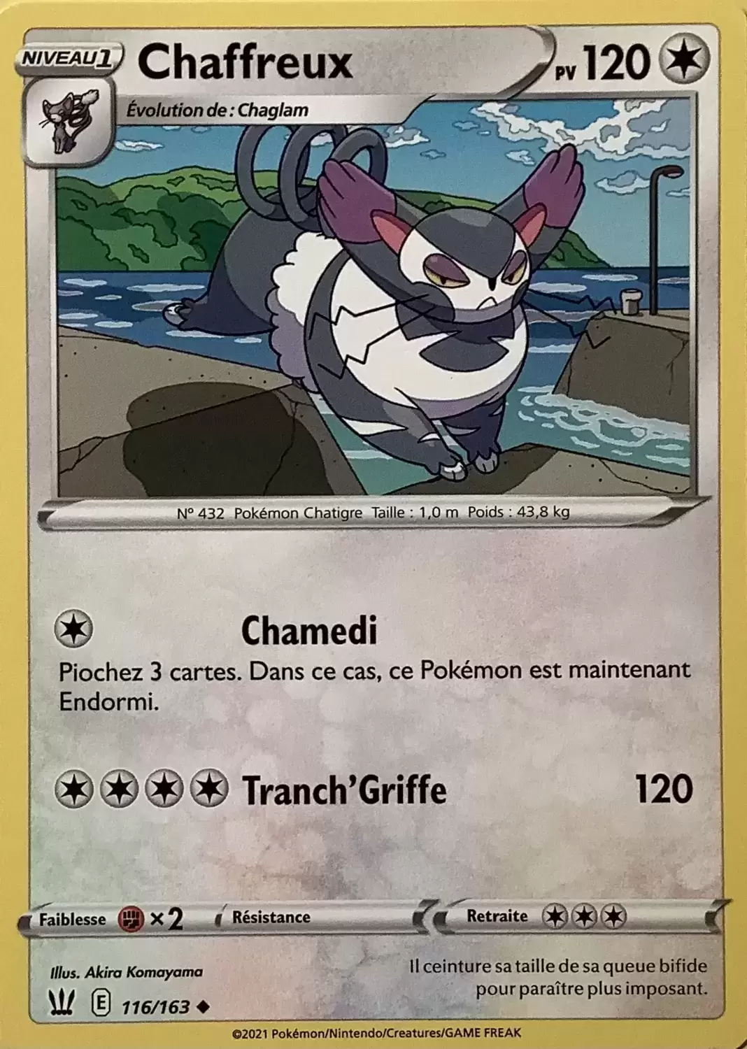 Styles de Combat - Chaffreux