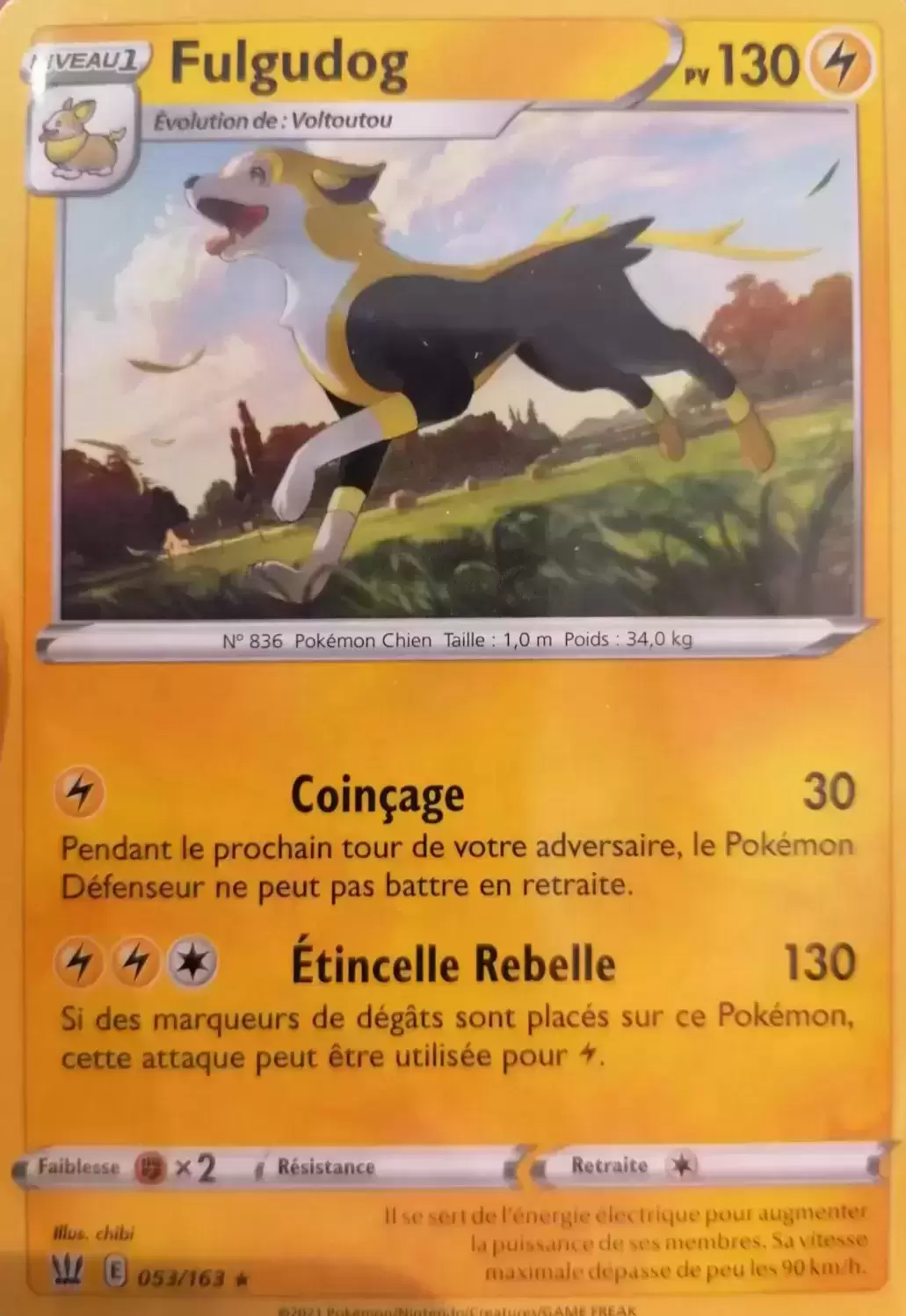 Styles de Combat - Fulgudog