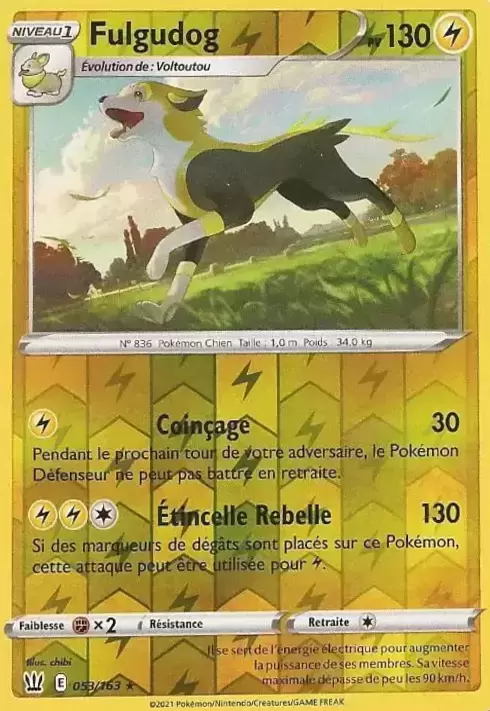 Styles de Combat - Fulgudog Reverse