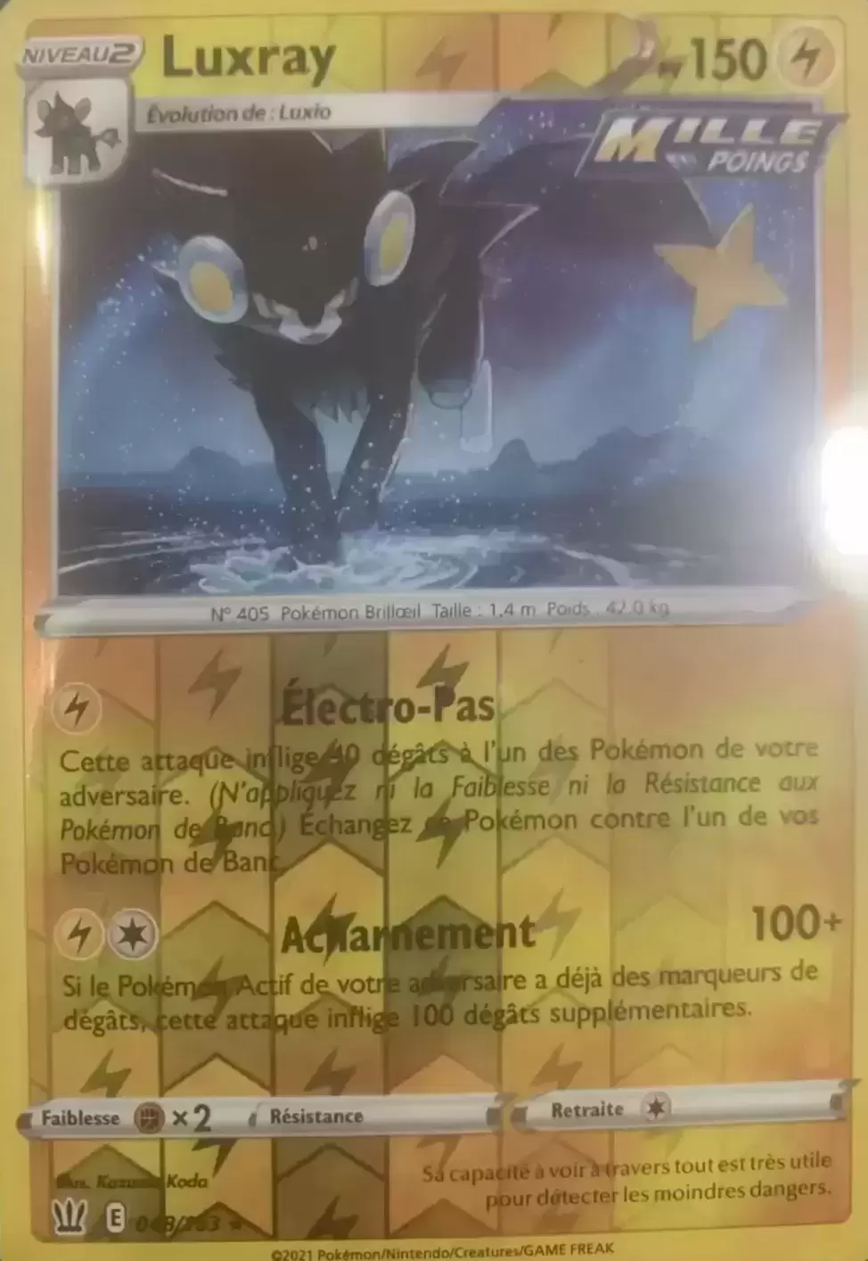 Styles de Combat - Luxray Reverse