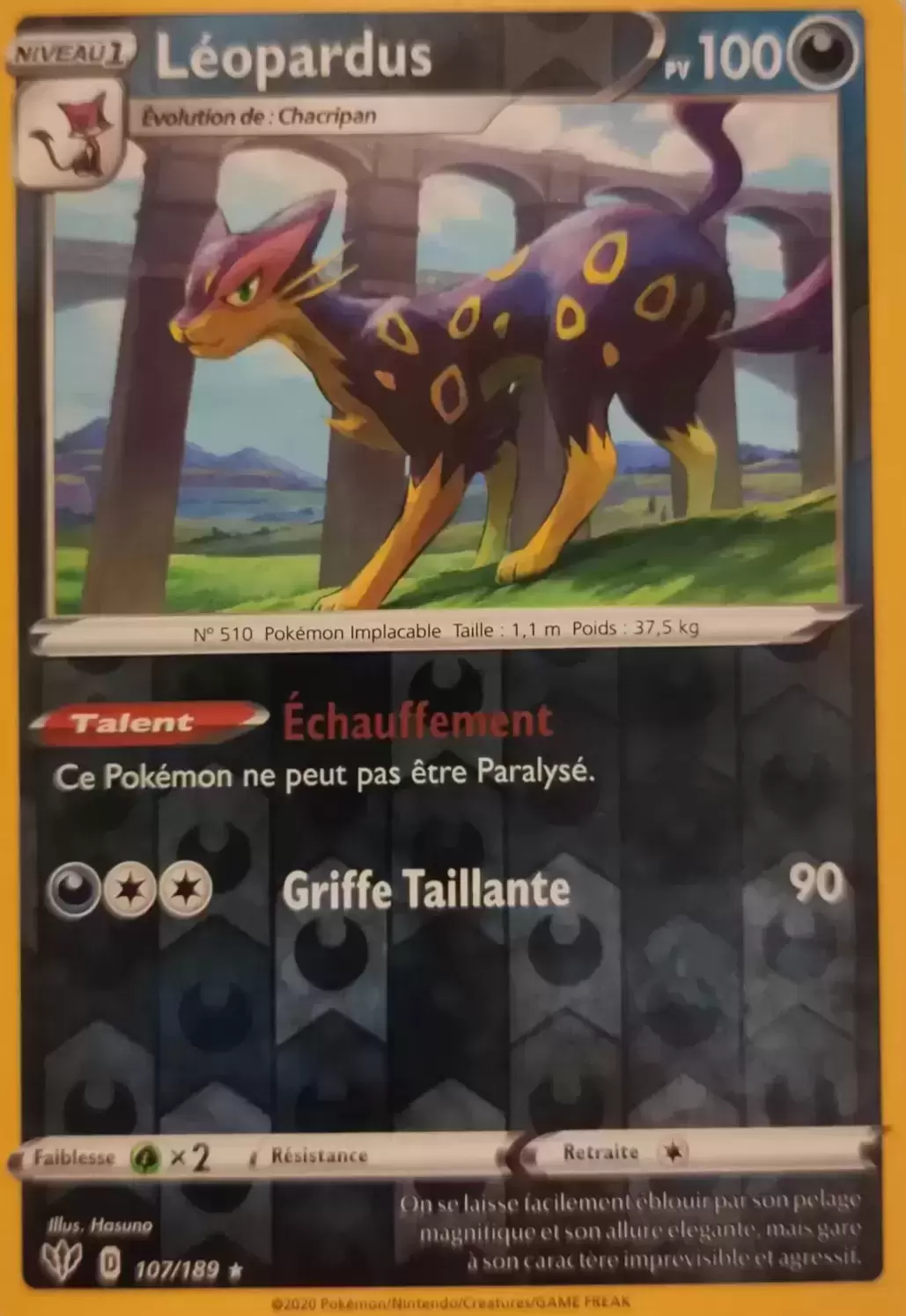 Ténèbres Embrasées - Léopardus Reverse
