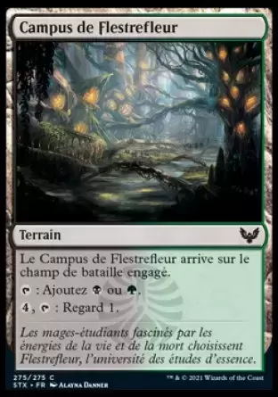 Strixhaven - Campus de Flestrefleur