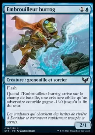 Strixhaven - Embrouilleur burrog