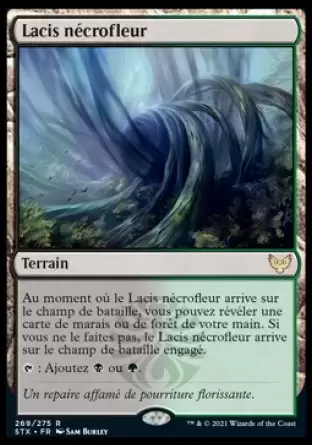 Strixhaven - Lacis nécrofleur