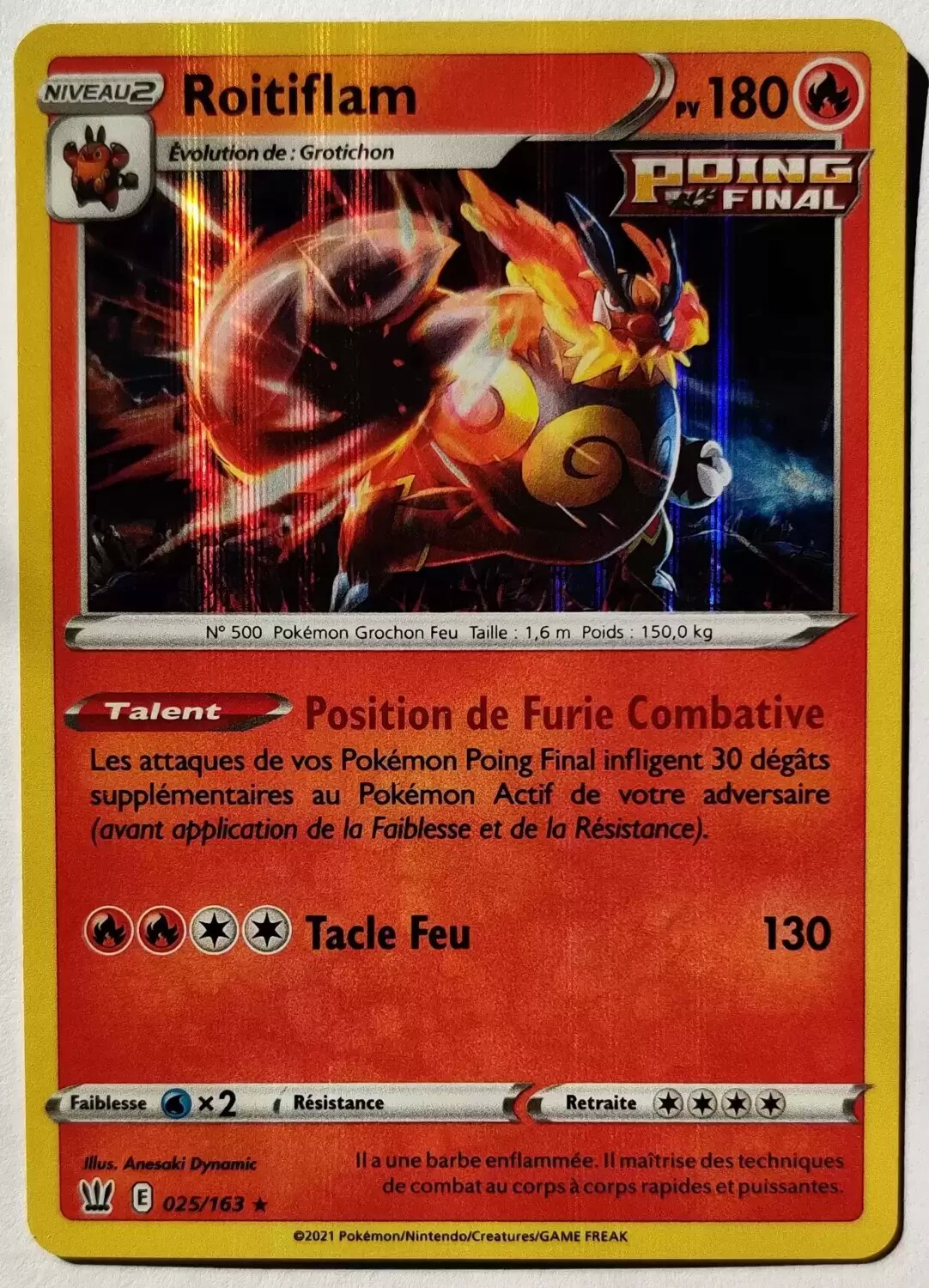 Styles de Combat - Roitiflam holographique