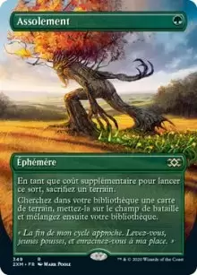 Double Masters - Assolement