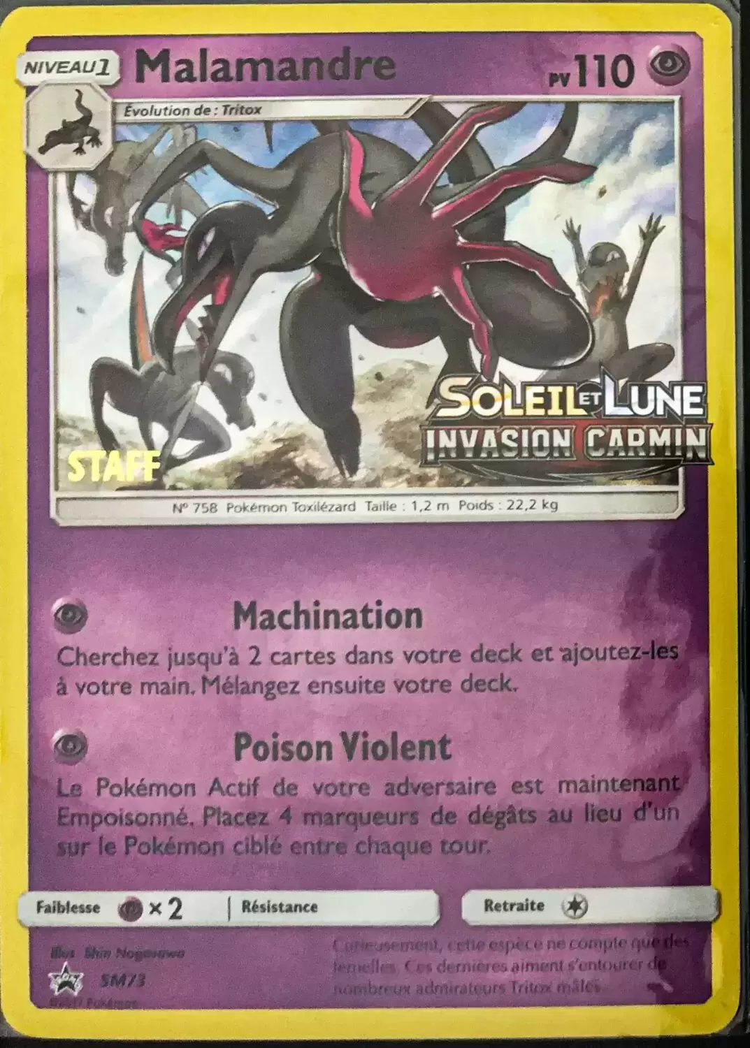 Cartes Promo Black Star Soleil et Lune - Malamandre Staff