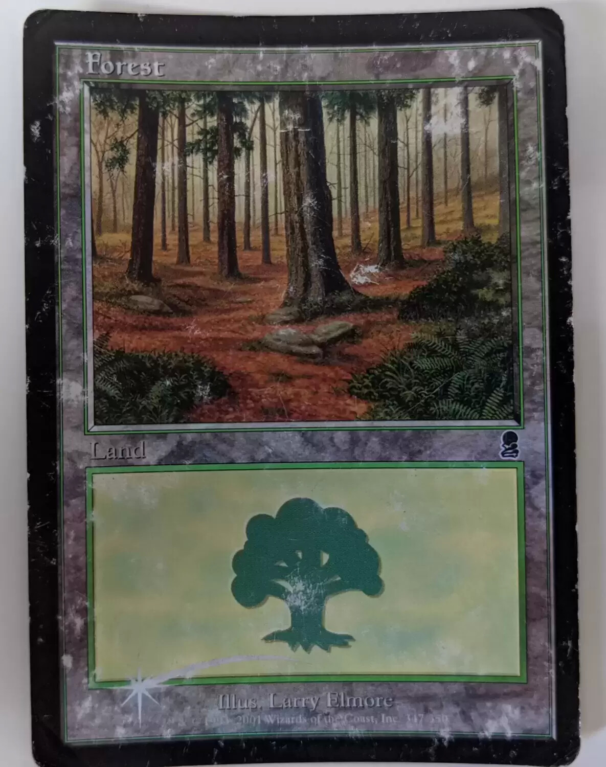 Odyssée - Forêt Foil