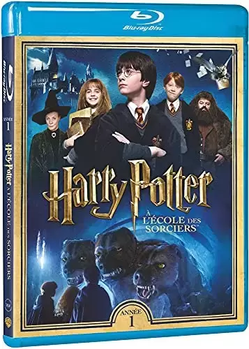 Harry Potter & Fantastic Beasts - Harry Potter à l\'école des sorciers - Année 1 - Le monde des Sorciers de J.K. Rowling - Blu-ray