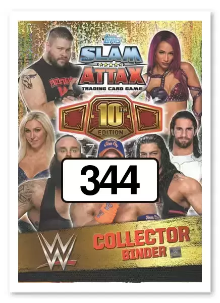 Slam Attax 10th Edition - WWE Championship - Championships