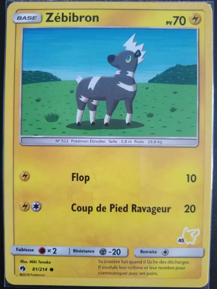 Académie de Combat - Deck Pikachu - Zébibron