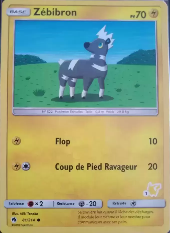 Académie de Combat - Deck Pikachu - Zébibron