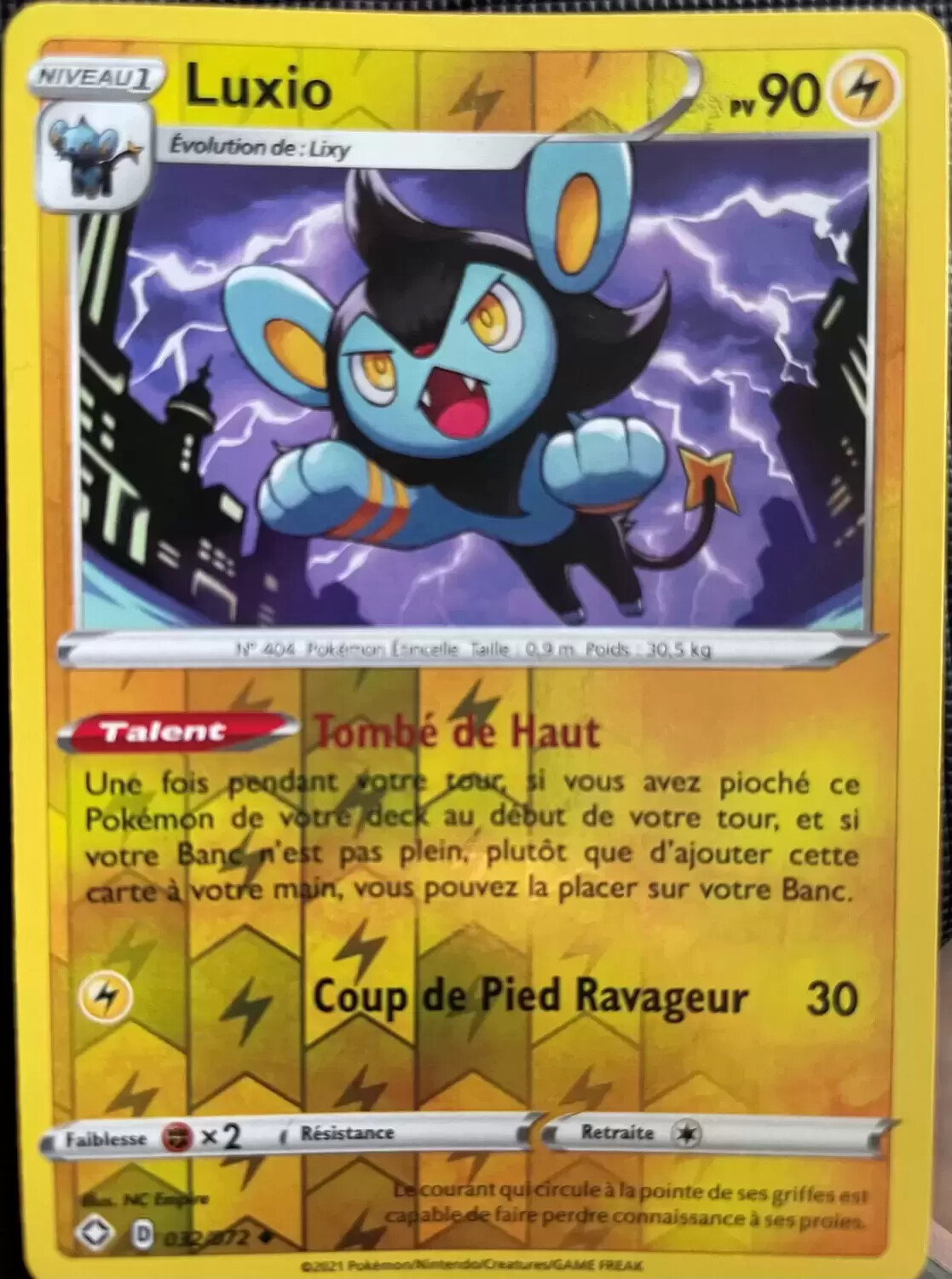 Destinée Radieuse - Luxio Reverse