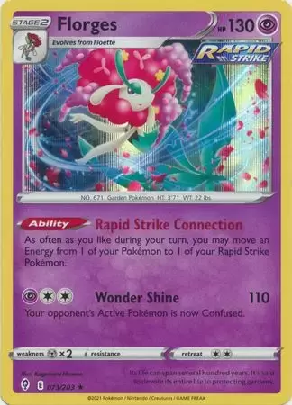 Evolving Skies - Florges Holographique