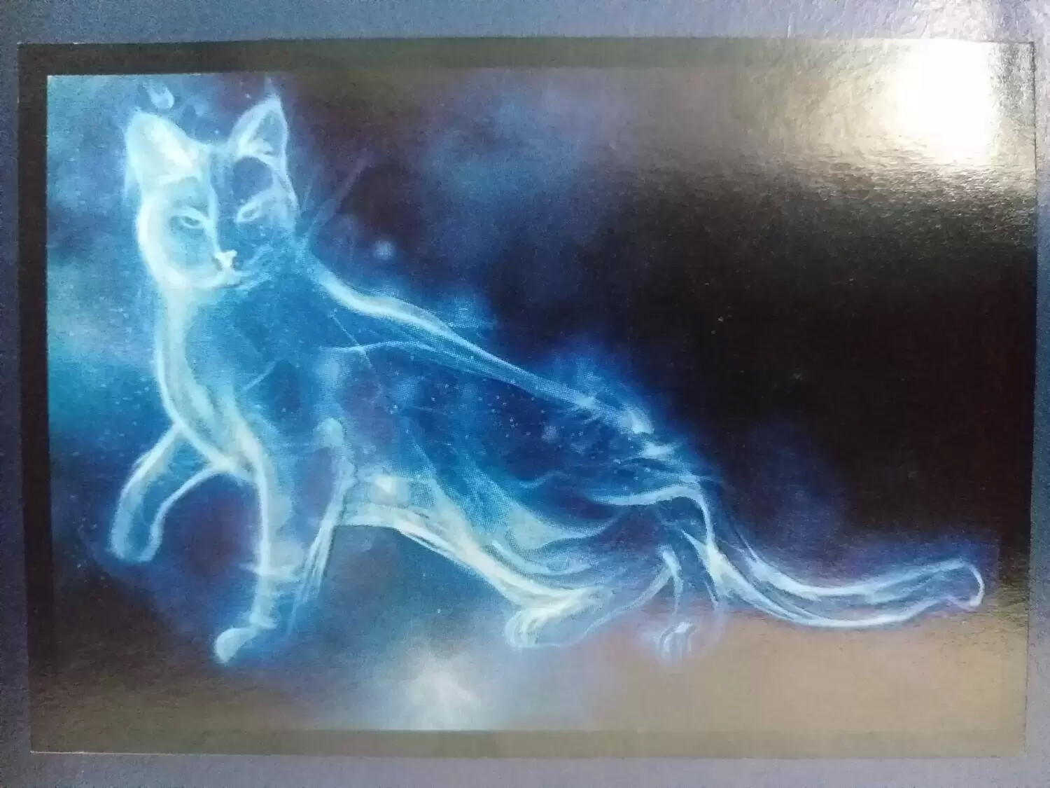 Patronus Chat avec des marques de lunettes resplendissant image