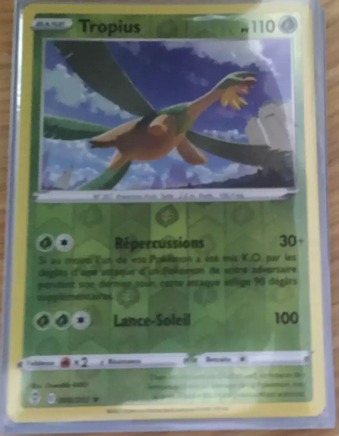 Évolution Céleste - Tropius Reverse