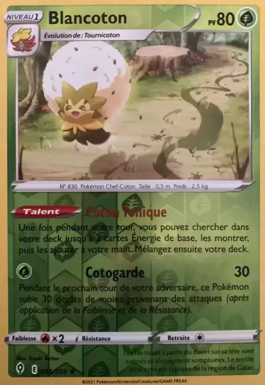 Évolution Céleste - Blancoton Reverse