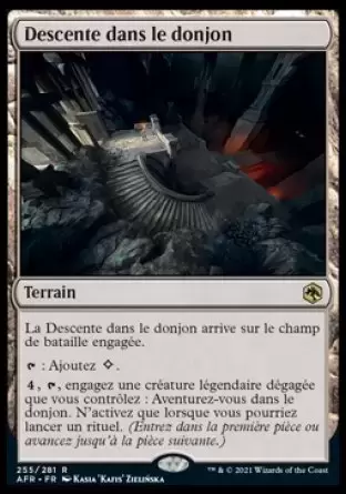 Aventures dans les royaumes oubliés (Dungeons & Dragons Forgotten Realms) - Descente dans le donjon