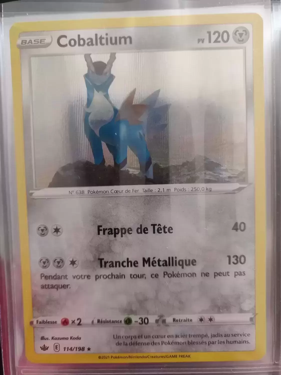 Règne de glace - Cobaltium Holographique
