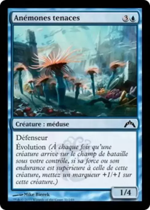 Insurrection - Anémones tenaces