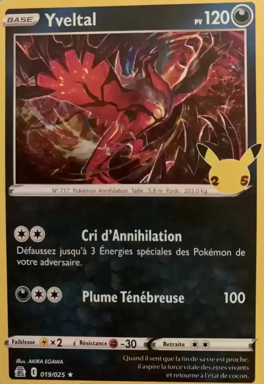 Célébrations - Yveltal Holographique