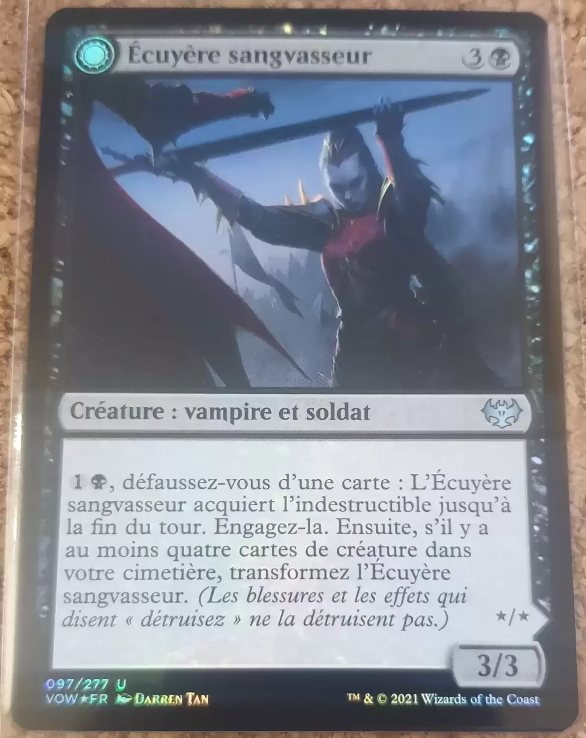 Extension - Écuyère sangvasseur // Chevalière sangvasseur - Foil