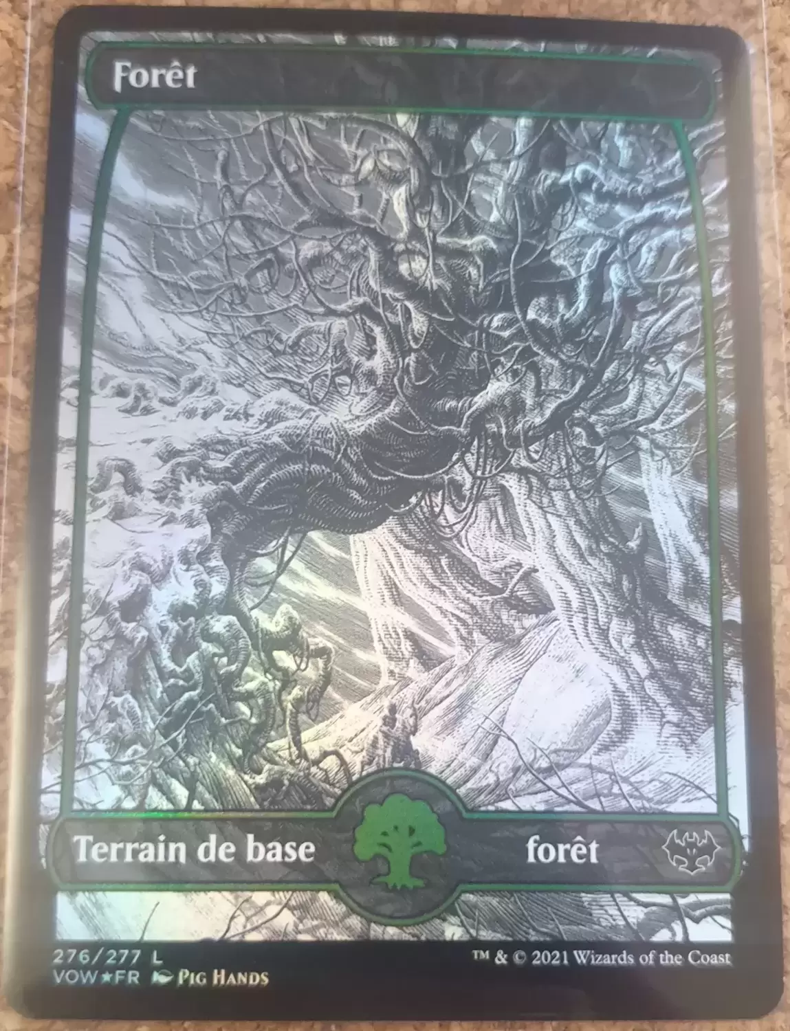 Extension - Forêt - Foil