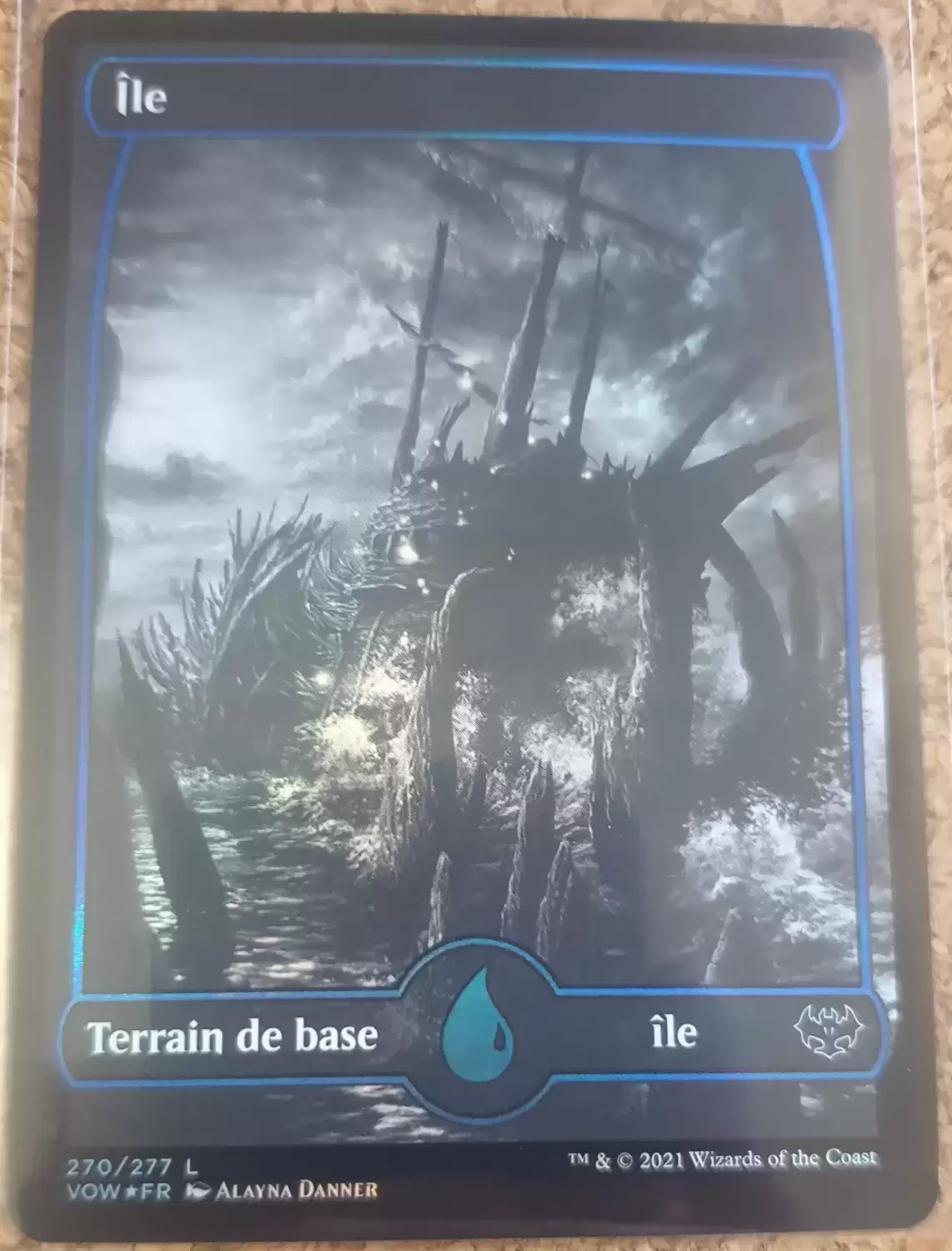 Extension - Île - Foil