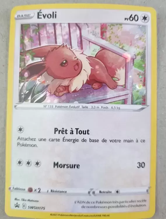 Cartes Promo Black Star Épée et Bouclier - Évoli