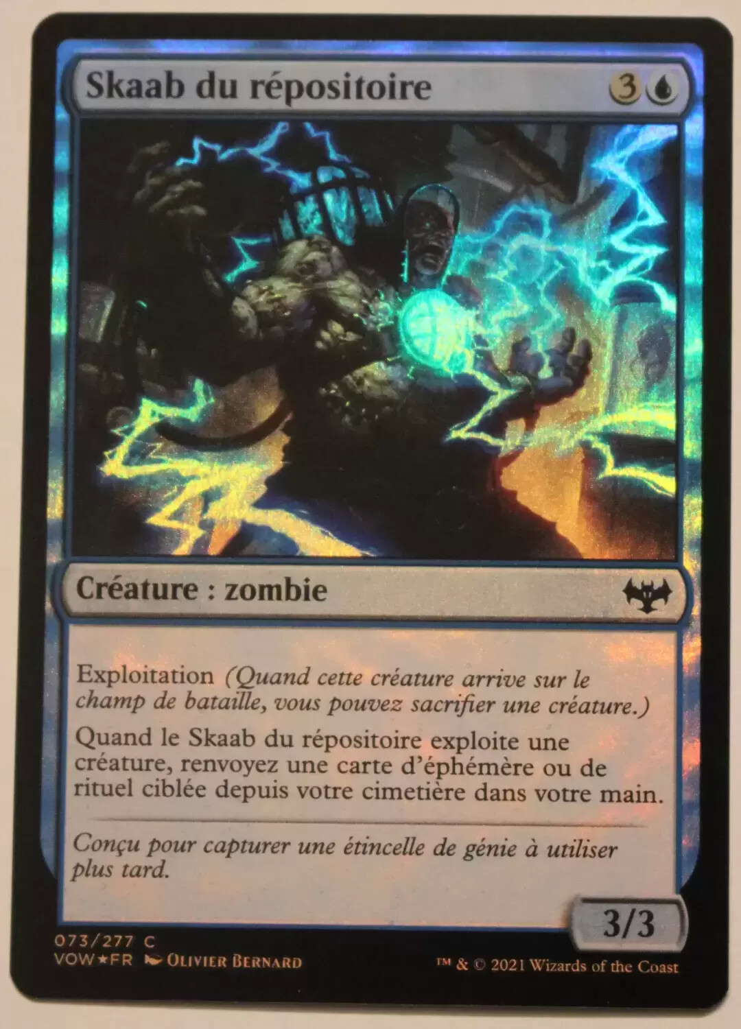Extension - Skaab du répositoire - Foil