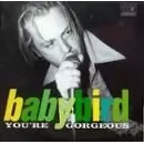 Babybird - You\'re Georgious