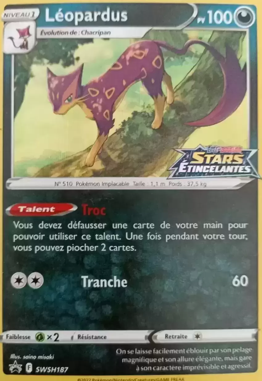 Cartes Promo Black Star Épée et Bouclier - Léopardus