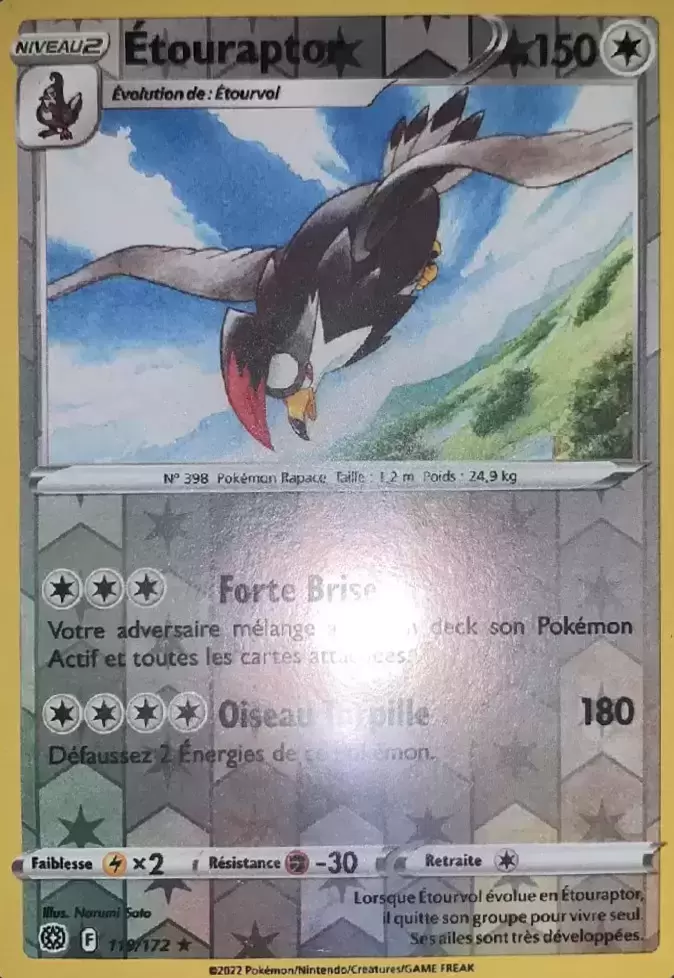 Stars Etincelantes - Etouraptor Reverse