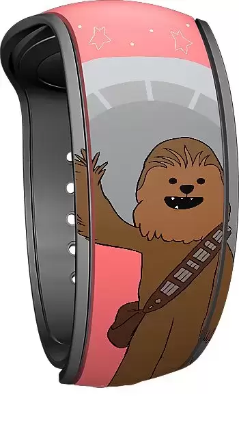 Purchases Millennium Falcon Magic band+