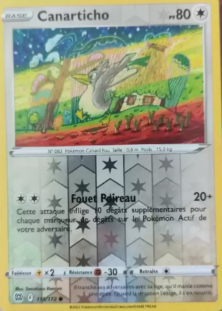 Stars Etincelantes - Canarticho Reverse