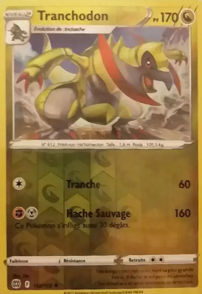 Stars Etincelantes - Tranchodon Reverse