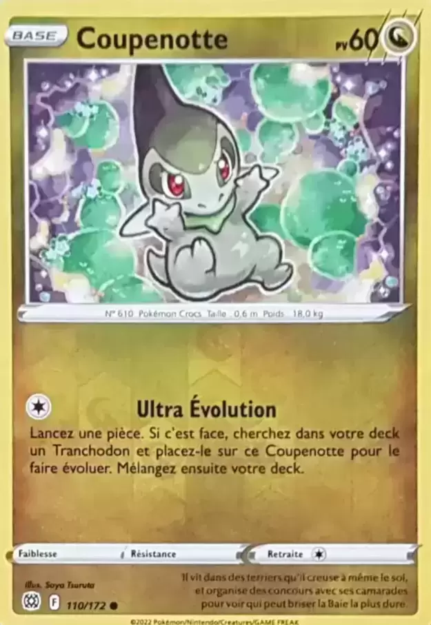 Stars Etincelantes - Coupenotte Reverse