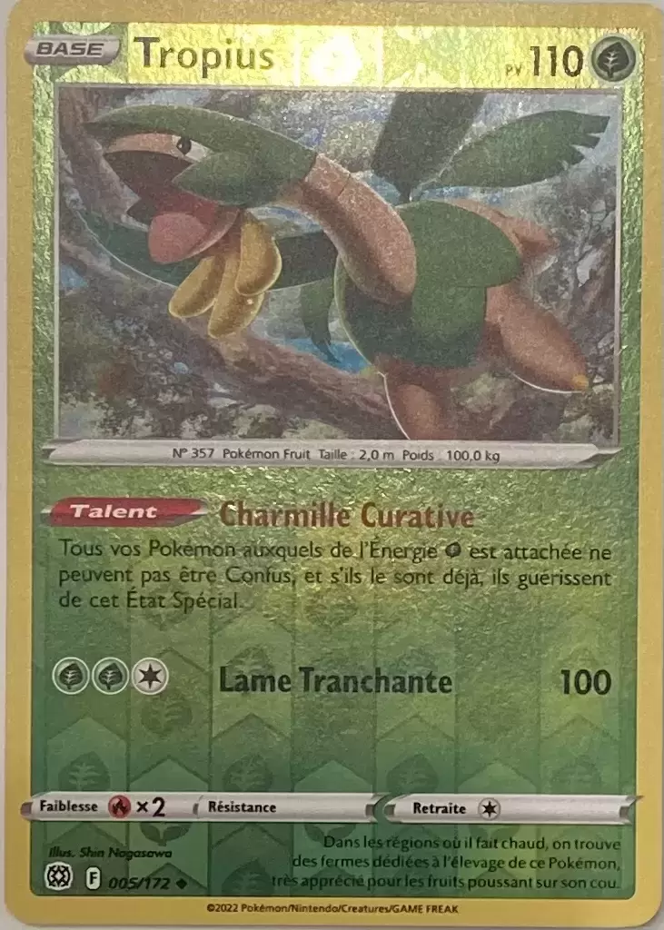 Stars Etincelantes - Tropius Reverse