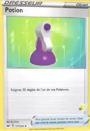 Académie de Combat 2022 - Deck Pikachu - Potion