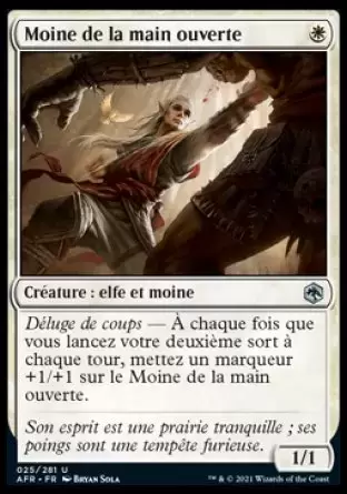 Aventures dans les royaumes oubliés (Dungeons & Dragons Forgotten Realms) - Moine de la main ouverte