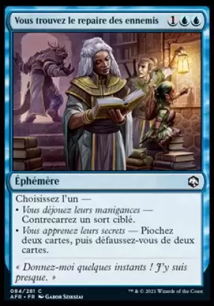 Aventures dans les royaumes oubliés (Dungeons & Dragons Forgotten Realms) - Vous trouvez le repaire des ennemis