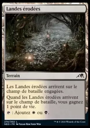 Kamigawa La Dynastie Néon - Landes érodées